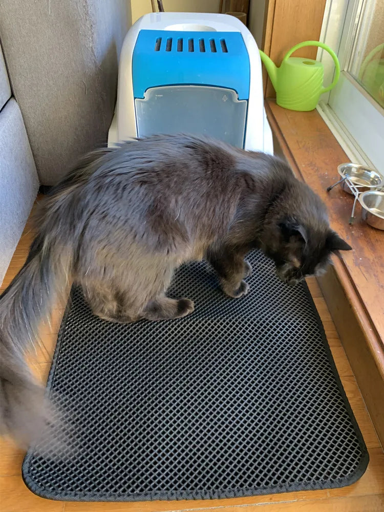 Clean Paws Litter Mat