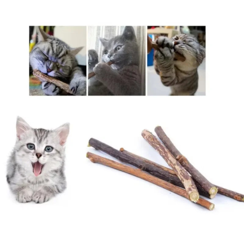 Silvervine Dental Chew Sticks