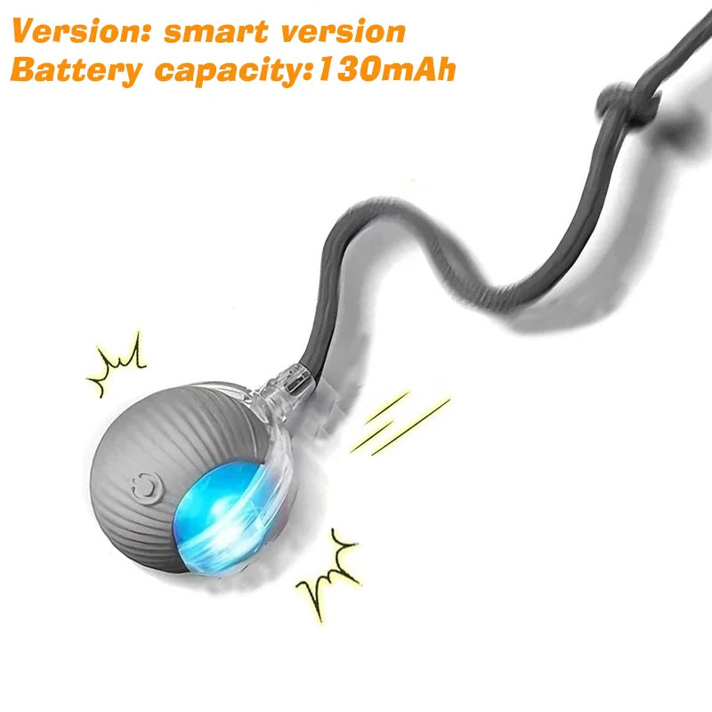 Zoomies Auto-Rolling Smart Ball