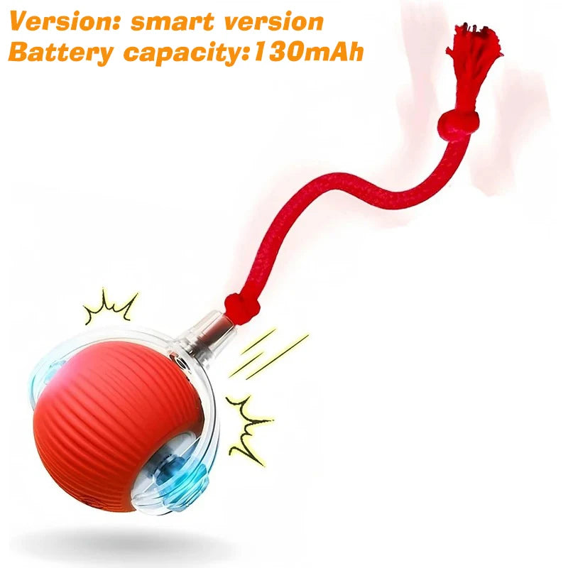 Zoomies Auto-Rolling Smart Ball