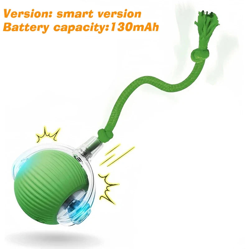 Zoomies Auto-Rolling Smart Ball