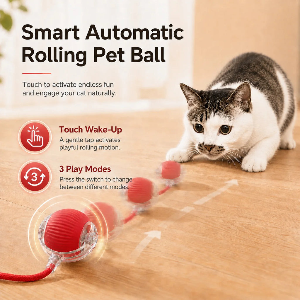 Zoomies Auto-Rolling Smart Ball